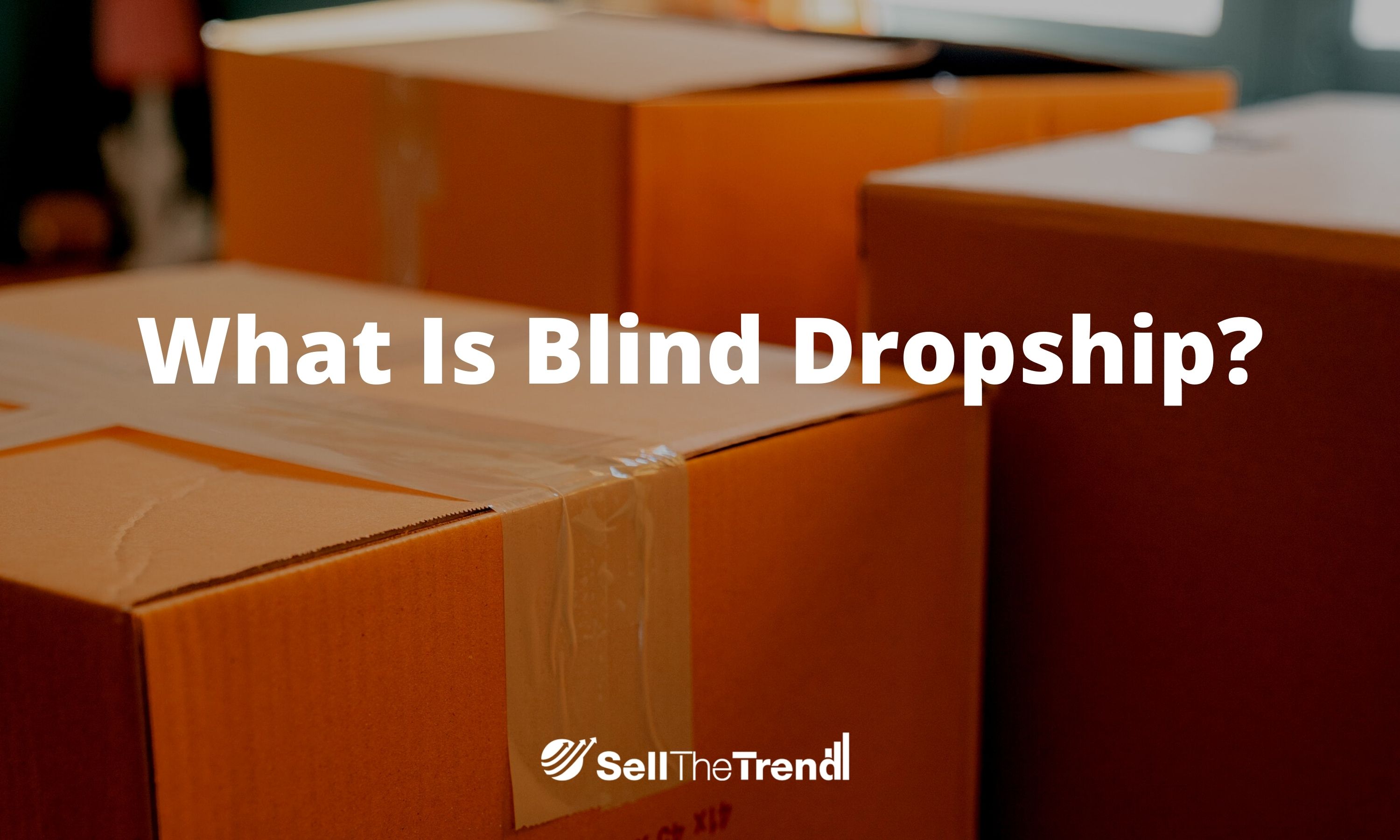 What is Blind drop ship?